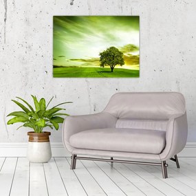 Obraz - Drzewo życia (70x50 cm)