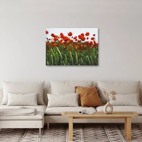 Obraz maków na wietrze (70x50 cm)