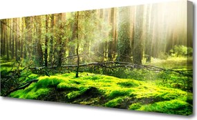 Obraz na płótnie Naturalny Zielony Mech