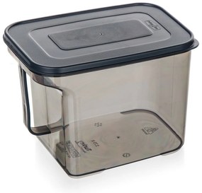 Banquet Pojemnik do przechowywania z uchwytem ZOYA2,75 l, dymny, 2,75 l