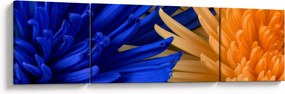 Szczegółowy obraz kwiatów (170x50 cm)