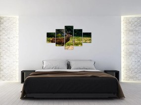 Obraz jelenia (125x70 cm)