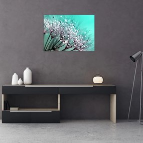 Obraz - zroszona roślina (70x50 cm)
