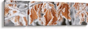 Obraz - Zamarznięte liście (170x50 cm)