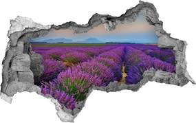 naklejka fototapeta 3D widok Pole lawendy