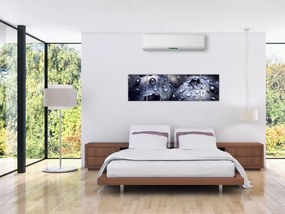 Obraz owoców z kroplami wody (170x50 cm)