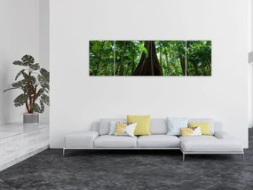 Obraz - Korzenie drzewa (170x50 cm)
