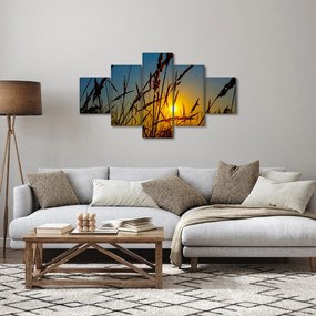 Obraz - Zachód słońca na łące (125x70 cm)