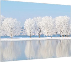 Obraz zimowego krajobrazu (70x50 cm)