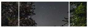 Obraz nocnego nieba (170x50 cm)