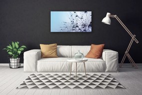 Obraz canvas na ścianę Puszysta Kula Mniszka