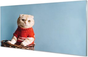 Panel Szklany Portret Siedzącego Kota