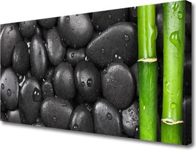 Obraz canvas Świeżość Bambusa w Spa