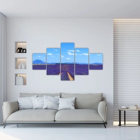 Obraz - Pole lawendy (125x70 cm)