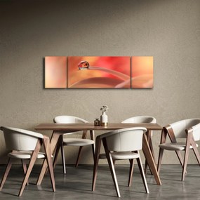Obraz kwiecistej kropli rosy (170x50 cm)