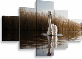 Obraz łabędzia (125x70 cm)