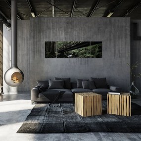 Obraz z czarnego lasu (170x50 cm)