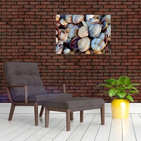 Obraz muszelek (70x50 cm)