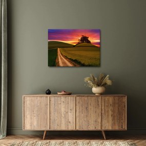 Obraz pola i kolorowego nieba (70x50 cm)