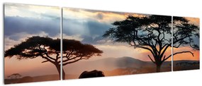 Obraz - Park Narodowy Serengeti, Tanzania, Afryka (170x50 cm)
