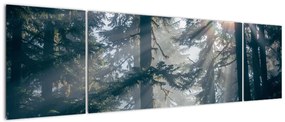 Obraz drzew, przez które prześwieca słońce (170x50 cm)