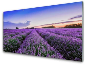 Panel Kuchenny Łąka Kwiaty Natura Roślina