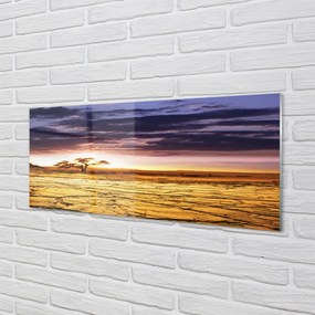 Panel szklany do Kuchni Chmury i Drzewa na Niebie