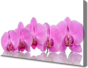 Obraz canvas Różowa Orchidea w Zbliżeniu