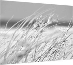 Obraz - Trawa plażowa (70x50 cm)