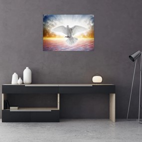 Obraz na szkle gołębicy (70x50 cm)