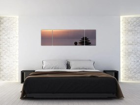 Obraz - Równowaga (170x50 cm)