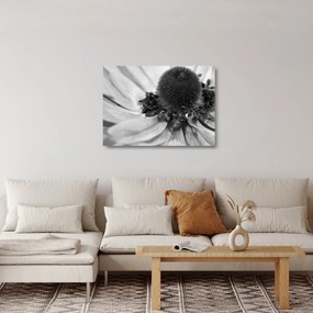 Obraz na szkle - Kwiat w czerni i bieli (70x50 cm)
