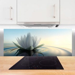 Panel Szklany Spokój Lilii Wodnej