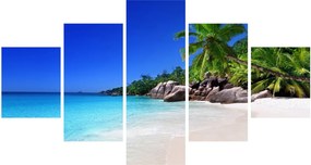 Obraz plaży na wyspie Praslin (125x70 cm)