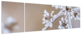 Obraz - Mróz (170x50 cm)