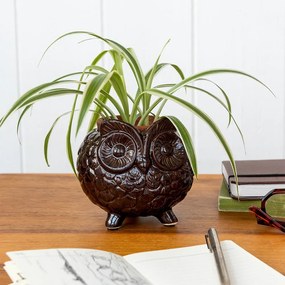 Ceramiczna osłonka na doniczkę ø 11 cm Owl – Rex London