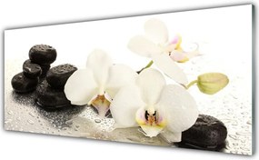 Panel Szklany Równowaga Natury: Kwiat i Kamień