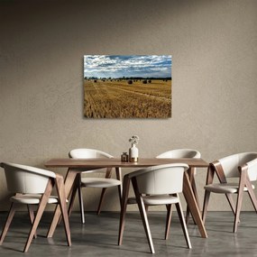 Obraz na szkle - zebrane pole zboża (70x50 cm)
