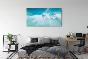 Obraz na płótnie Makrofotografia Kropli Wody