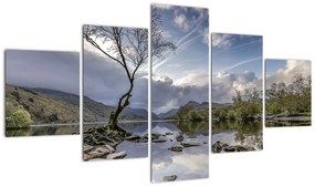 Obraz rzeki z drzewem (125x70 cm)