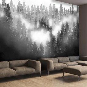 Fototapeta - Las we mgle (196x136 cm)
