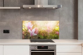 Szklany Panel Magnolia w Słońcu