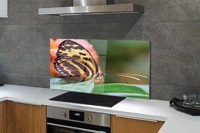 Panel Kuchenny Szklany Samotny Motyl w Locie