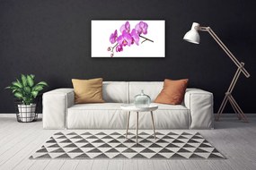 Obraz Canvas Storczyk Orchidea Kwiaty