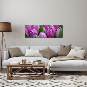 Obraz - kwiaty tulipanów (z zegarem) (90x30 cm)