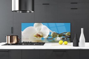 Szkło do Kuchni na Ścianę Botaniczny Portret Kwiatu