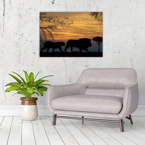 Obraz na szkle - Safari (70x50 cm)