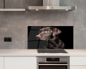 Panel szklany do Kuchni Wierny Brązowy Przyjaciel