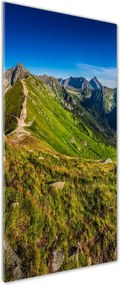 Foto obraz szkło akryl pionowy Tatry