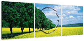 Obraz pola z aleją (z zegarem) (90x30 cm)